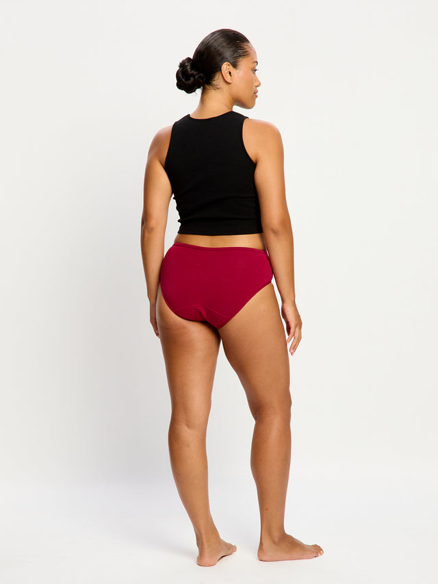 Basic Mid-Rise Brief 3 Pack Moderate Italian Clay/Moody Blue/Beet Red